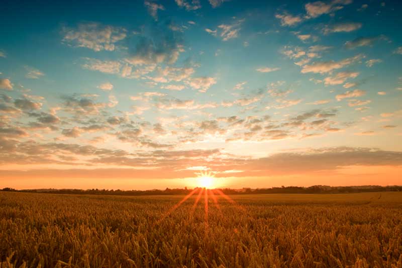 Medidas Agroambientales